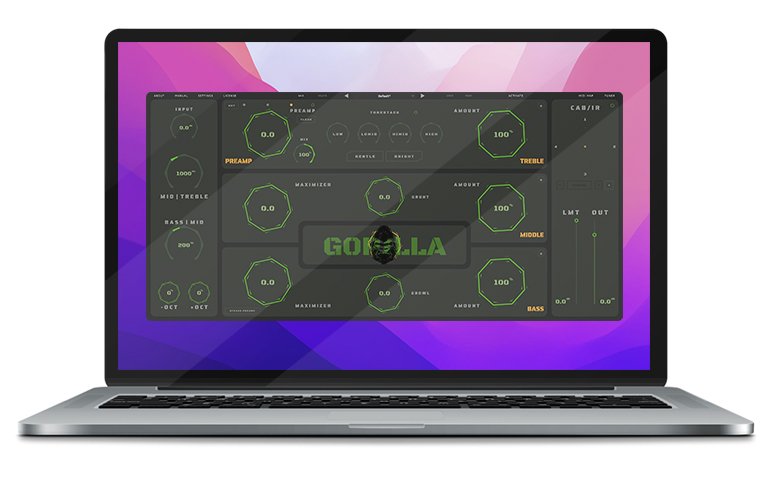 A full standalone bass rig