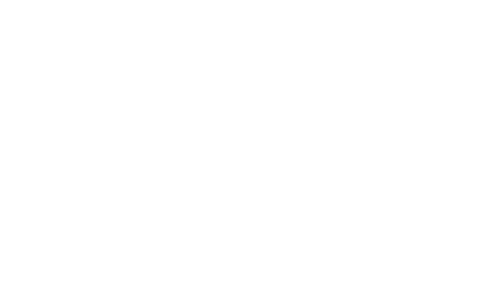 Artist presets